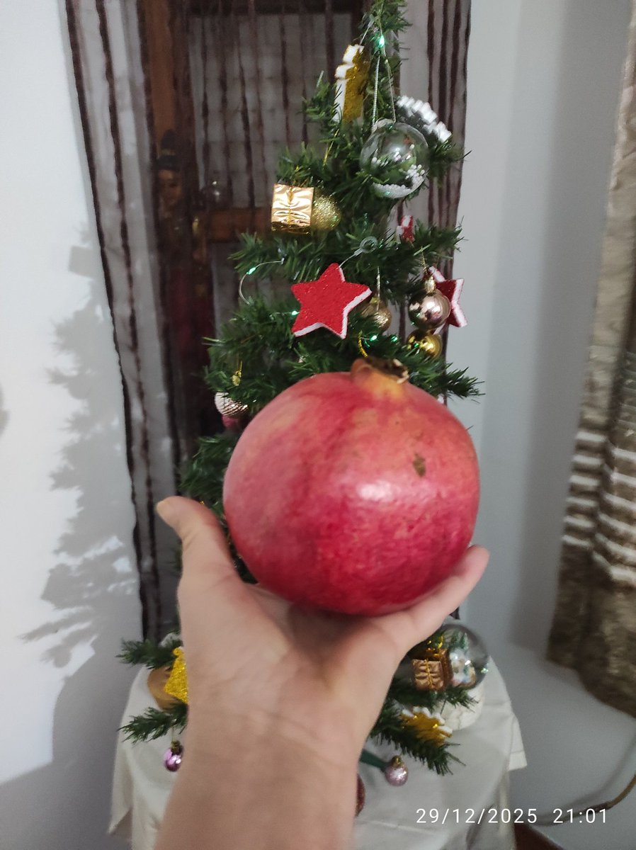 Şu bir tek nar ne kadar biliyor musunuz? Tammm 101 TL.
  #iyiseneler 🖐️ <a href="/RTErdogan/">Recep Tayyip Erdoğan</a> <a href="/ibrahimyumakli/">İbrahim Yumaklı</a>