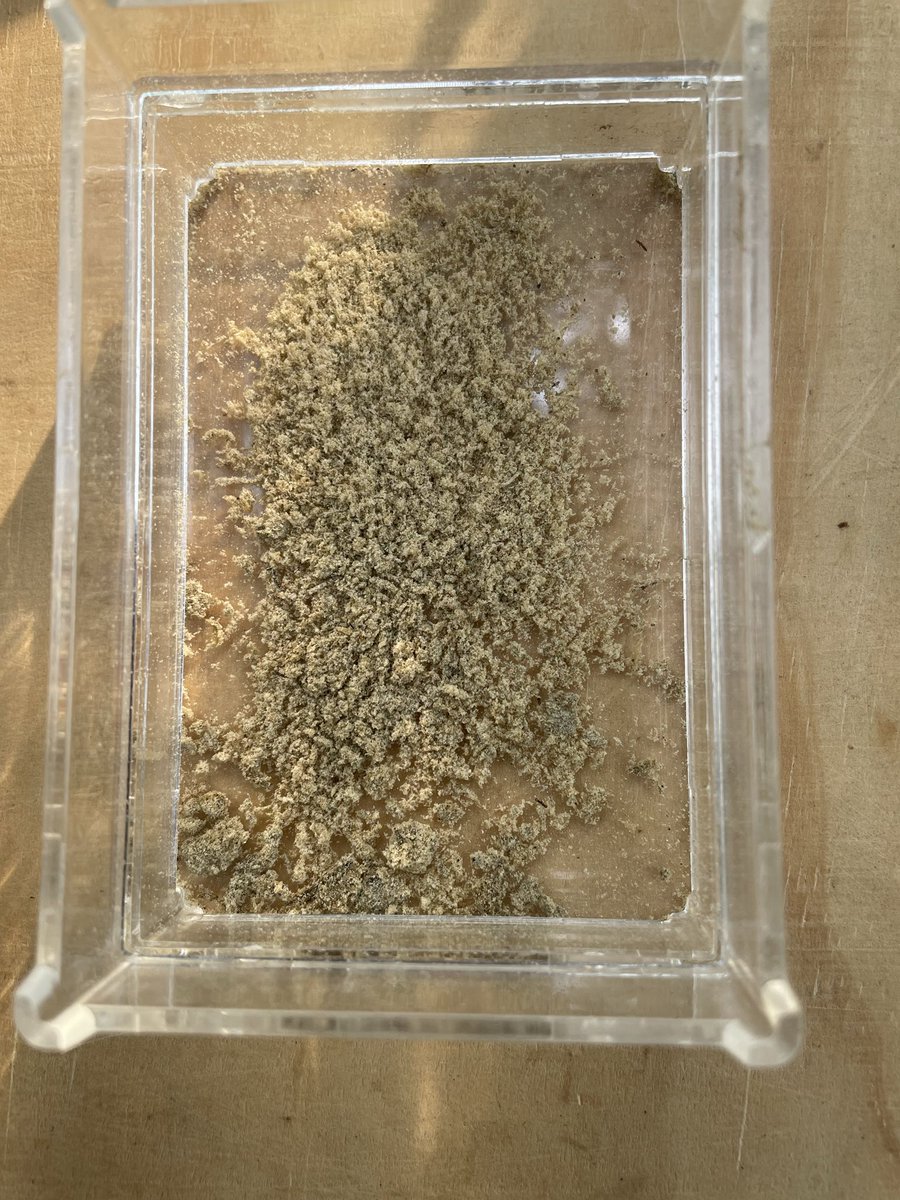 munansiGI's tweet image. 🐝✨ Bee Venom Products Now Available ✨🐝
High-quality bee venom &amp;amp; honey venom–infused honey, ethically harvested. Used in apitherapy, wellness, skincare &amp;amp; research. Limited quantities available.
📩 Orders: WhatsApp +256772086788
From the hive to healing 🌿🐝