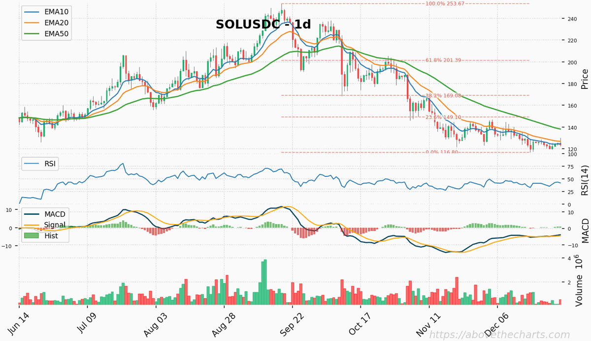 abovethecharts's tweet photo. ๐ #SOLUSDC 1D spot at 123.86. Key levels to watch: Major support at 122.00, major resistance at 188.00. Additional support: 122.00 (1.50%) x9, 120.00 (3.12%) x9. Resistance: 126.00 (1.73%) x22, 138.00 (11.42%) x22, 140.00 (13.03%) x22. Stay alert! https://t.co/mandfXPKFo