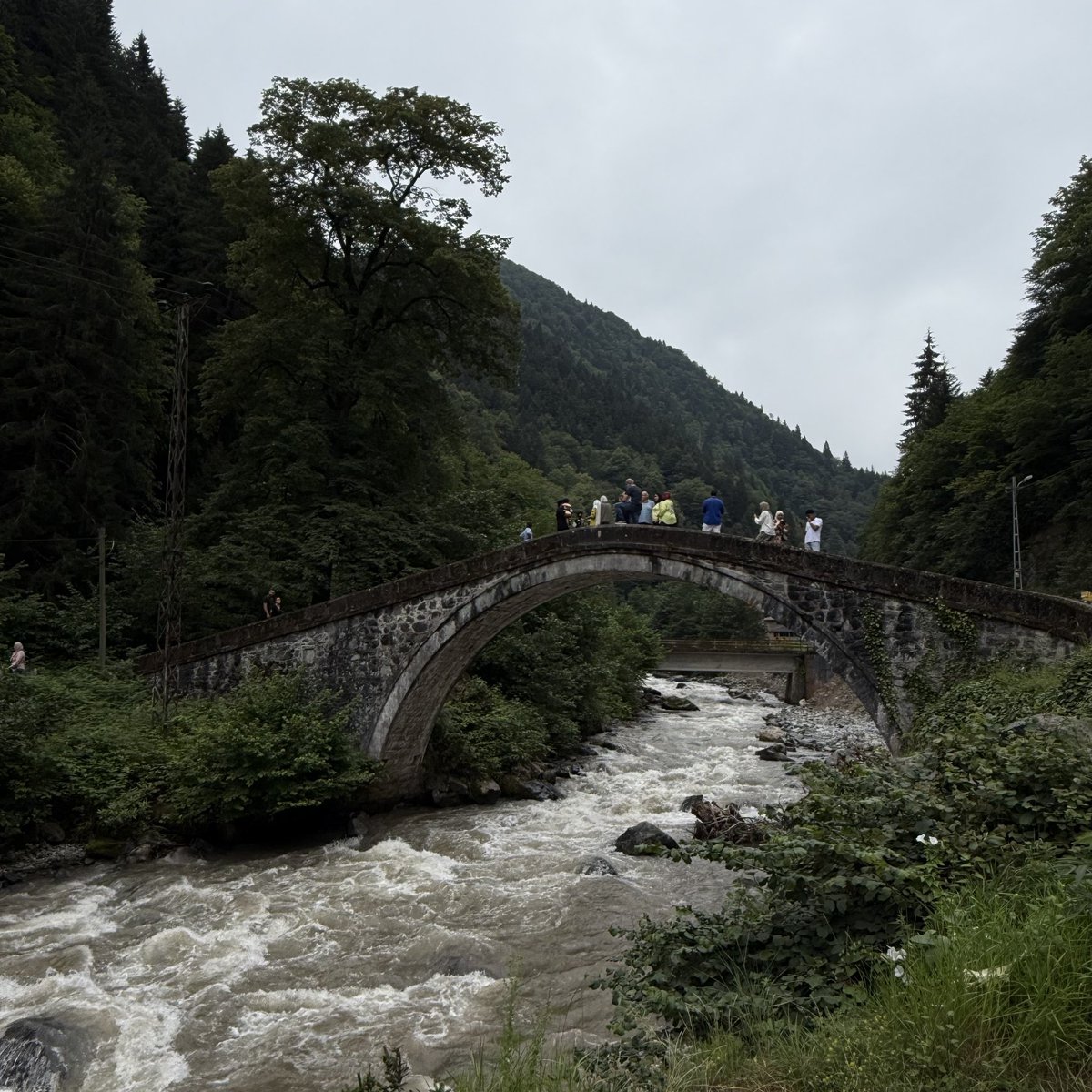 الفوضى اللي احبها