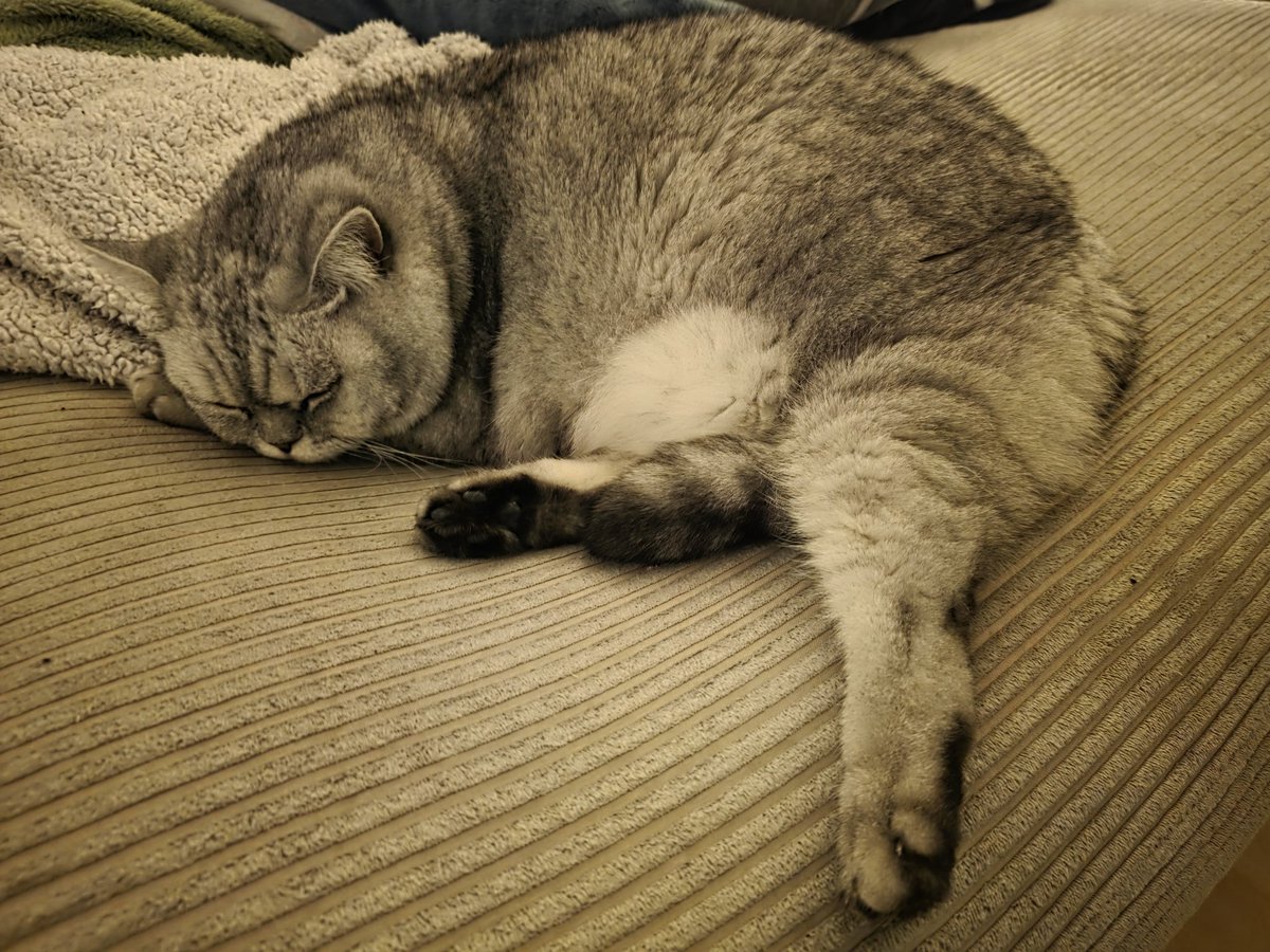 Meine süße Nala🥰