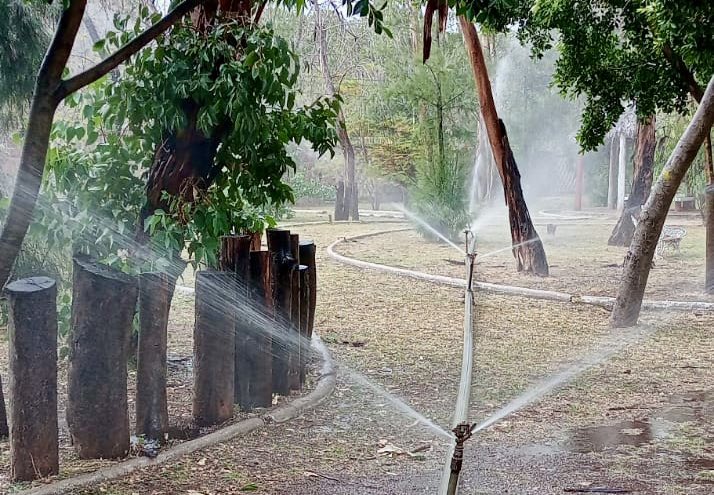 El riego en el Parque de Morales continúa de manera permanente, con el objetivo de que este importante pulmón de nuestra ciudad luzca en las mejores condiciones. 🌳💦

Todos los días trabajamos en las áreas verdes de #SanLuisCapital.