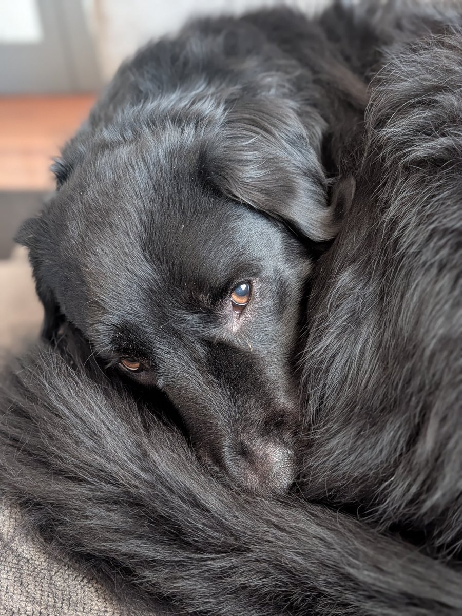 The Jeffrey Files tweet media