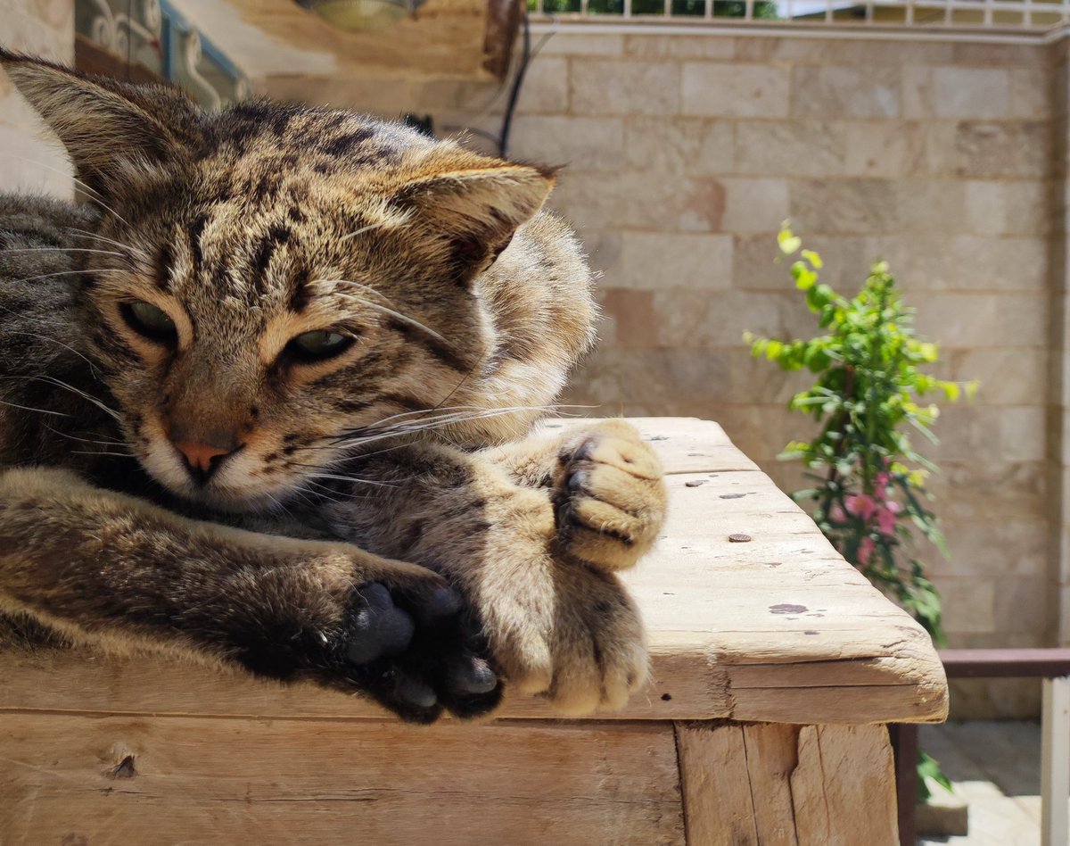 آخ که من بعد از تو هزار بار مردم