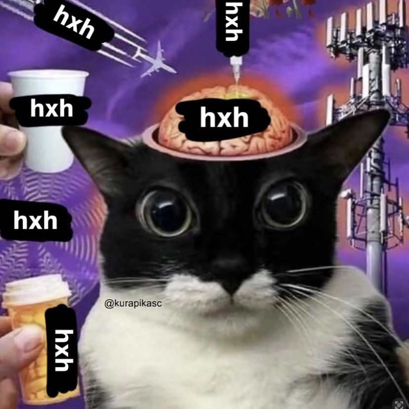 HxHVizuals's tweet image. 