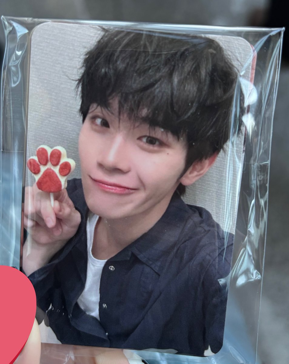 제베원 가요대제전 사녹 역조공 예쁘다ㅜㅠ
