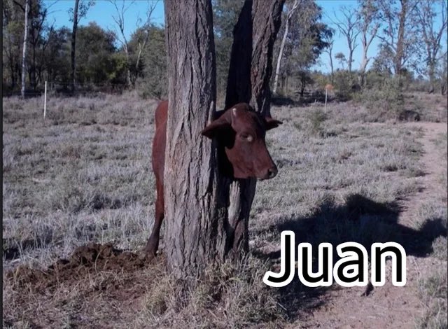 GigittyDude's tweet photo. Juan https://t.co/x35QTiIfNr