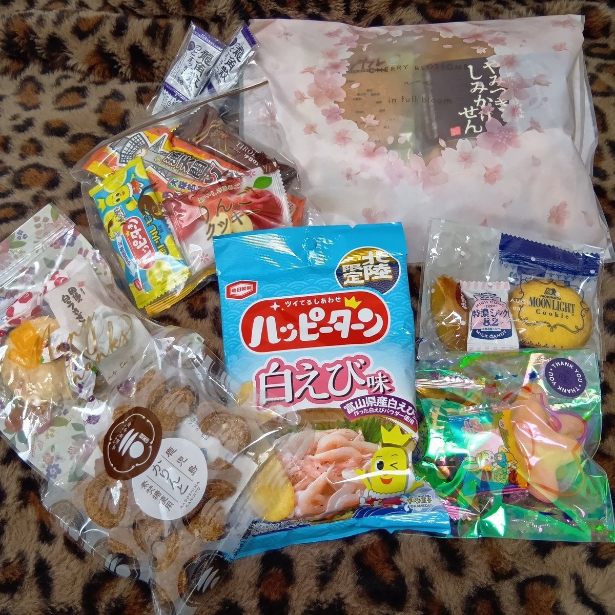 CakeChika's tweet photo. 今年も無事にLIVE🎶納めてきました😆
みんないつもありがとう〜‼️
楽しかったよ😂
来年も楽しもう👍 https://t.co/RX9qUHef4t