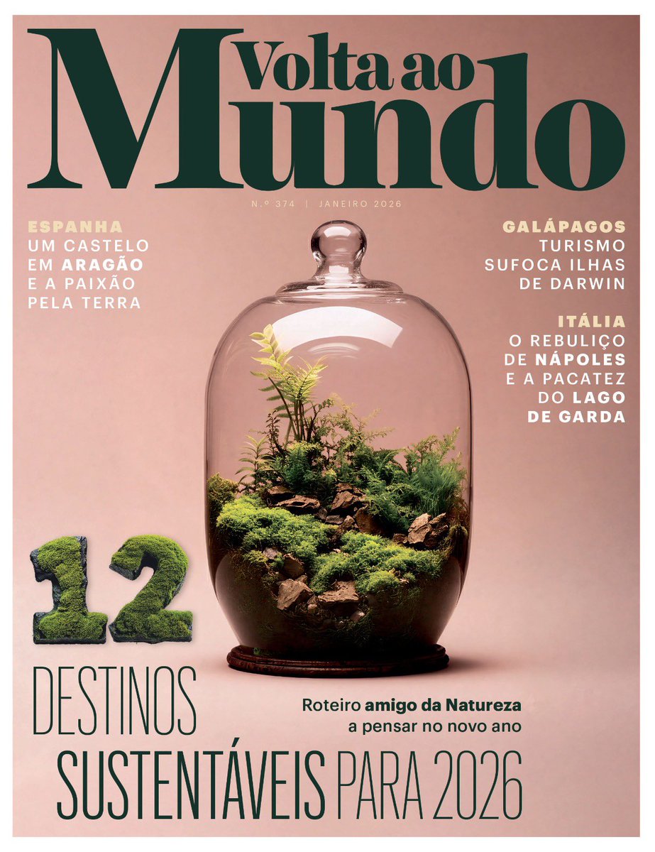 Pedro Ivo Carvalho tweet media