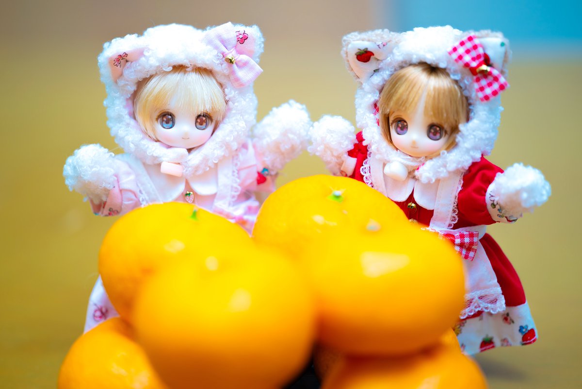 狙われているみかん🍊 😅

#シュガーカップス
#ビスケティーナ