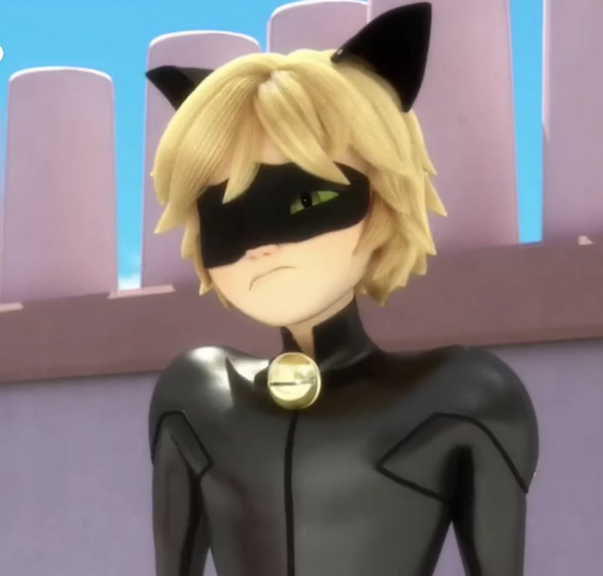 daily chat noir tweet media