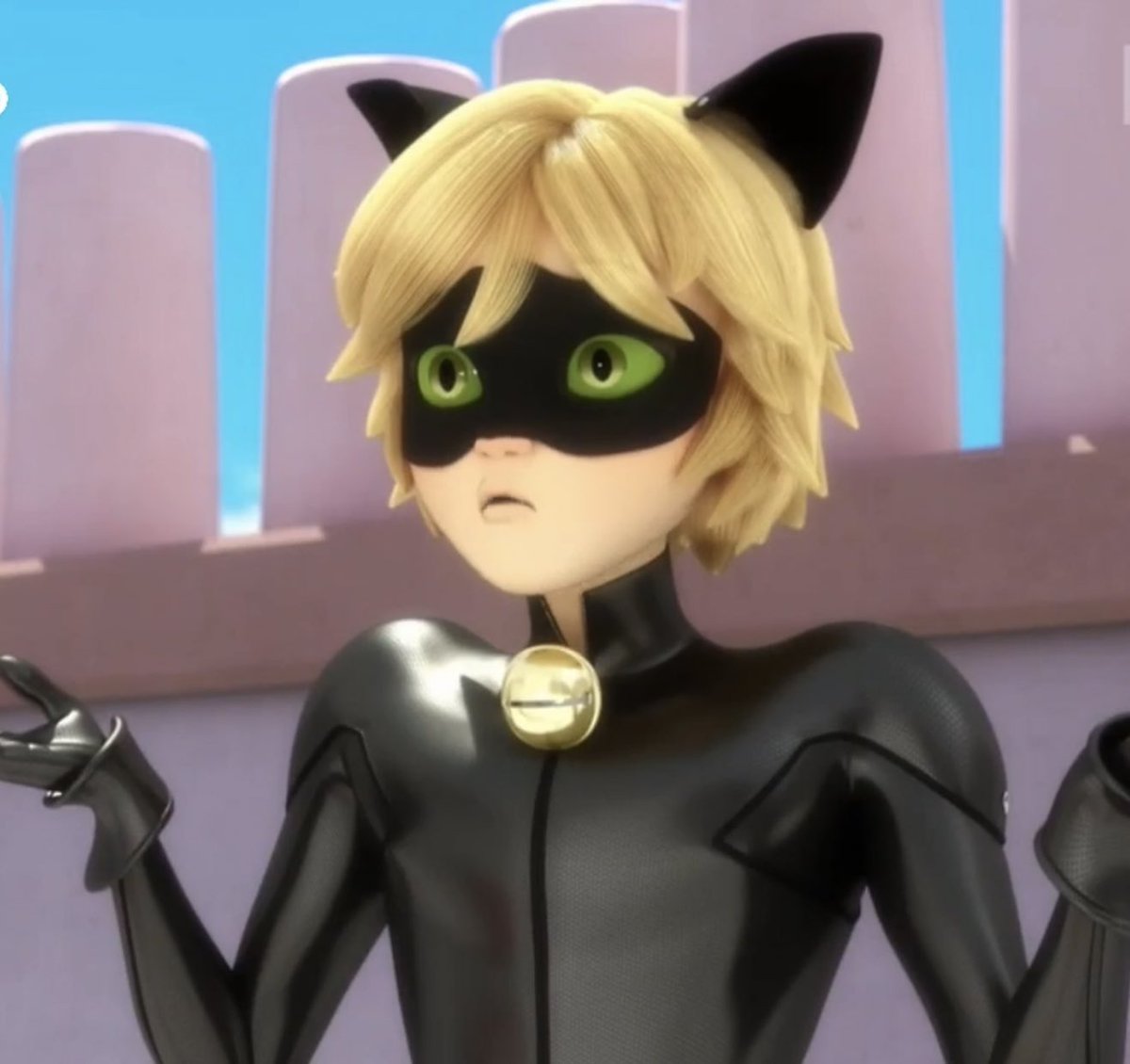 daily chat noir tweet media