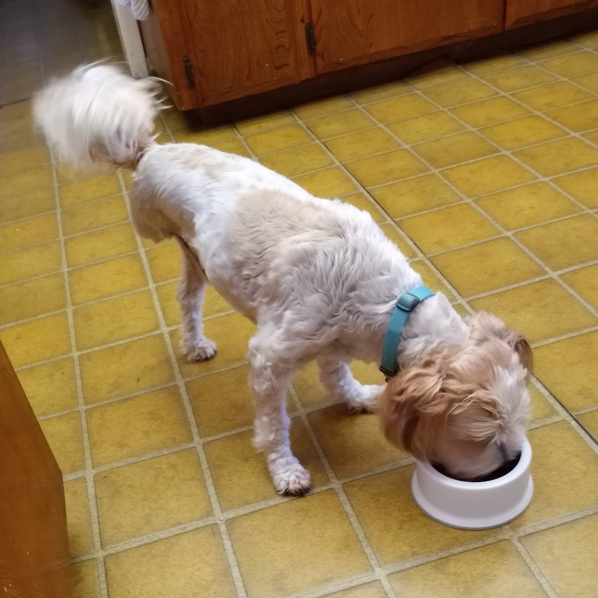 The Fighter Pilot Podcast tweet media