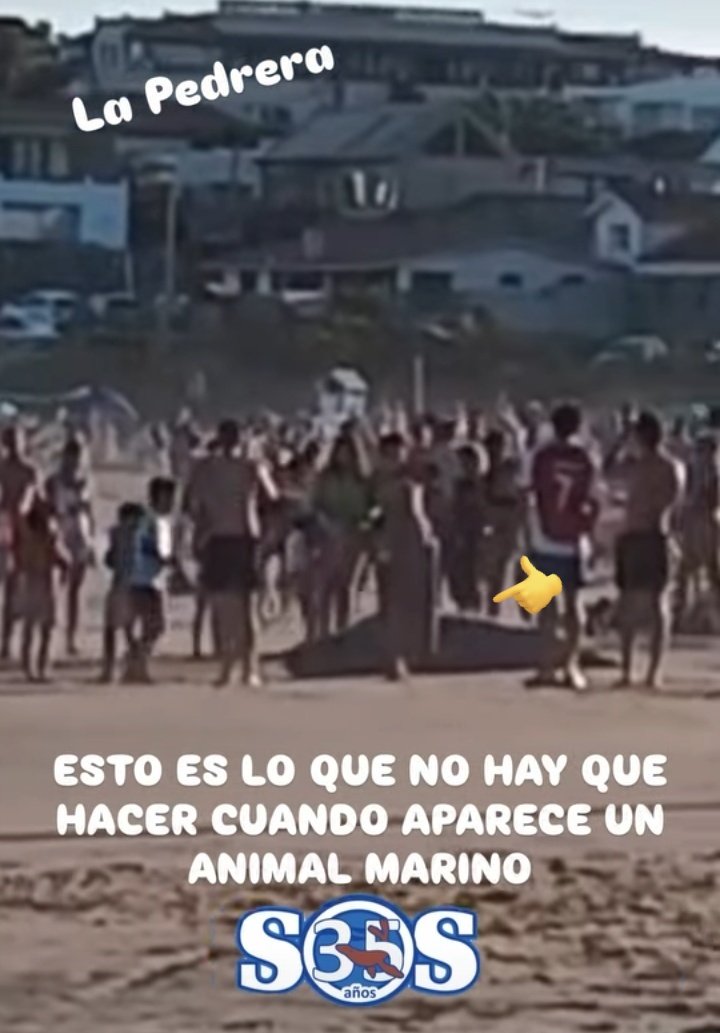 @Carlotta🐾💕 tweet media