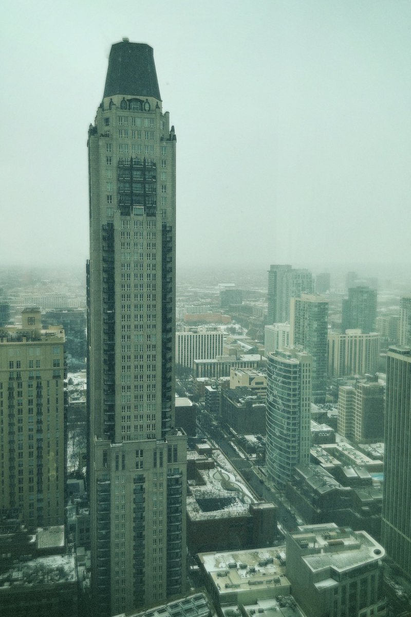 Steele (91%)🎚 tweet media