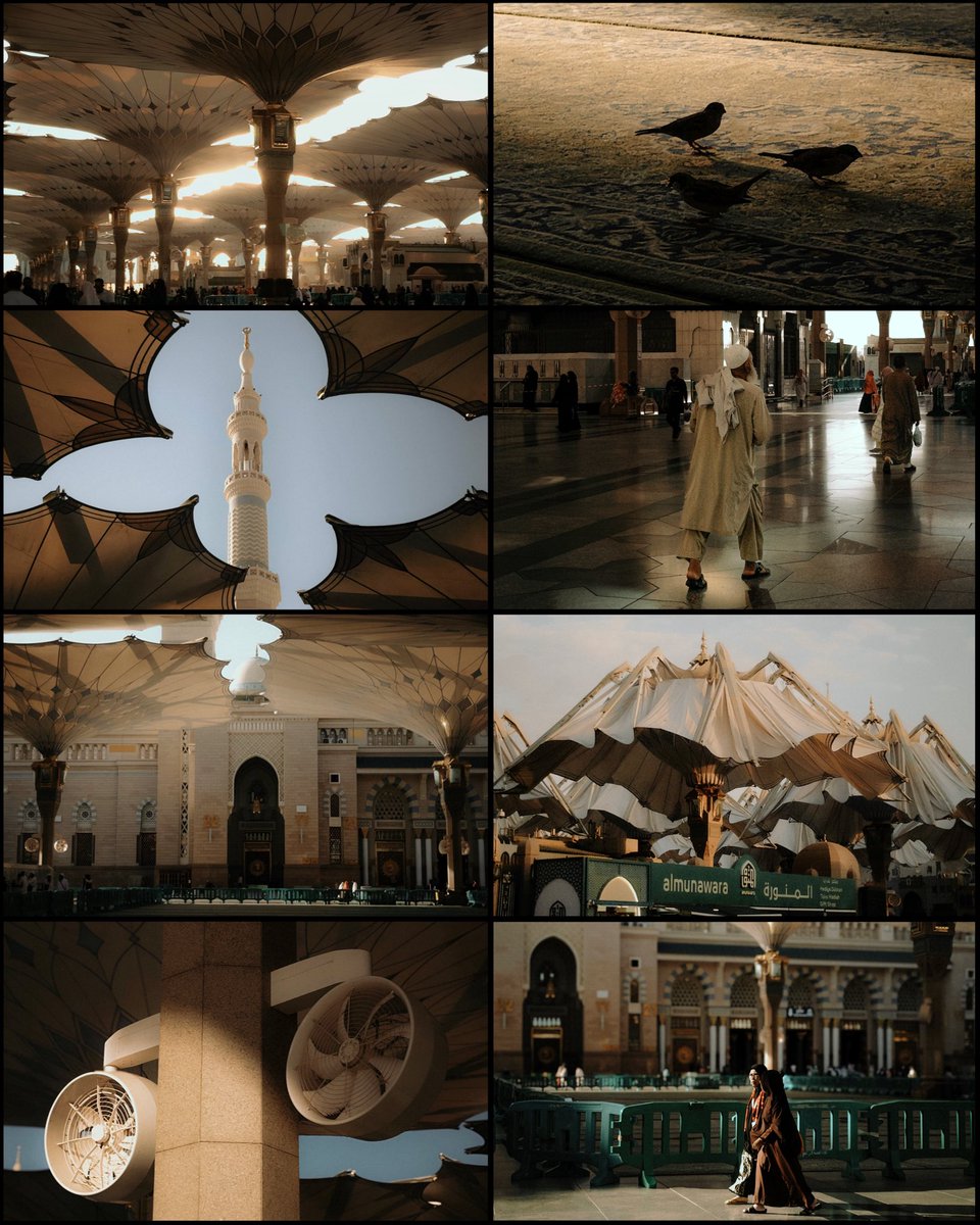 shxi3i's tweet image. Madinah 🤎