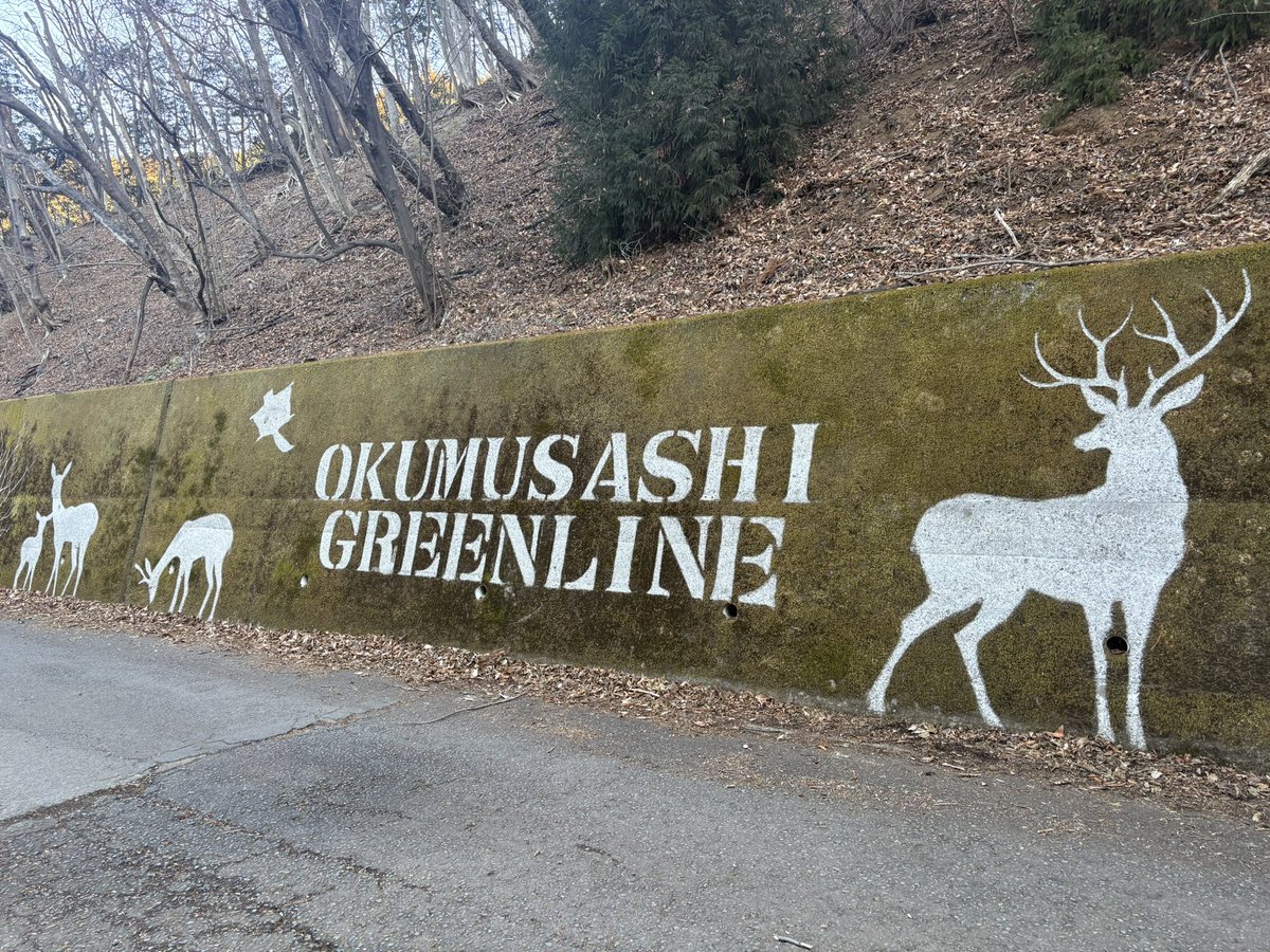 iwamountain's tweet photo. 苔アートなるものも素晴らしいね https://t.co/WQEgeC5f00