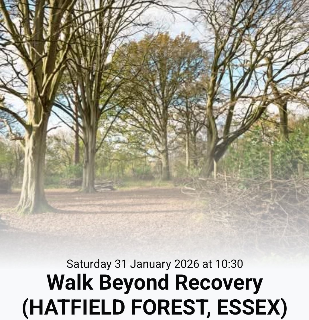 The Beyond Recovery Project tweet media