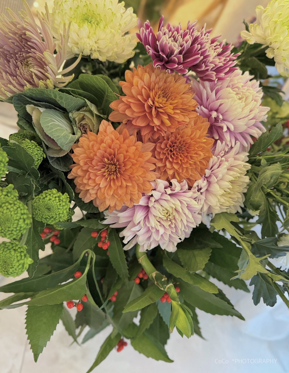 coco (@39coco39coco) / Posts / X