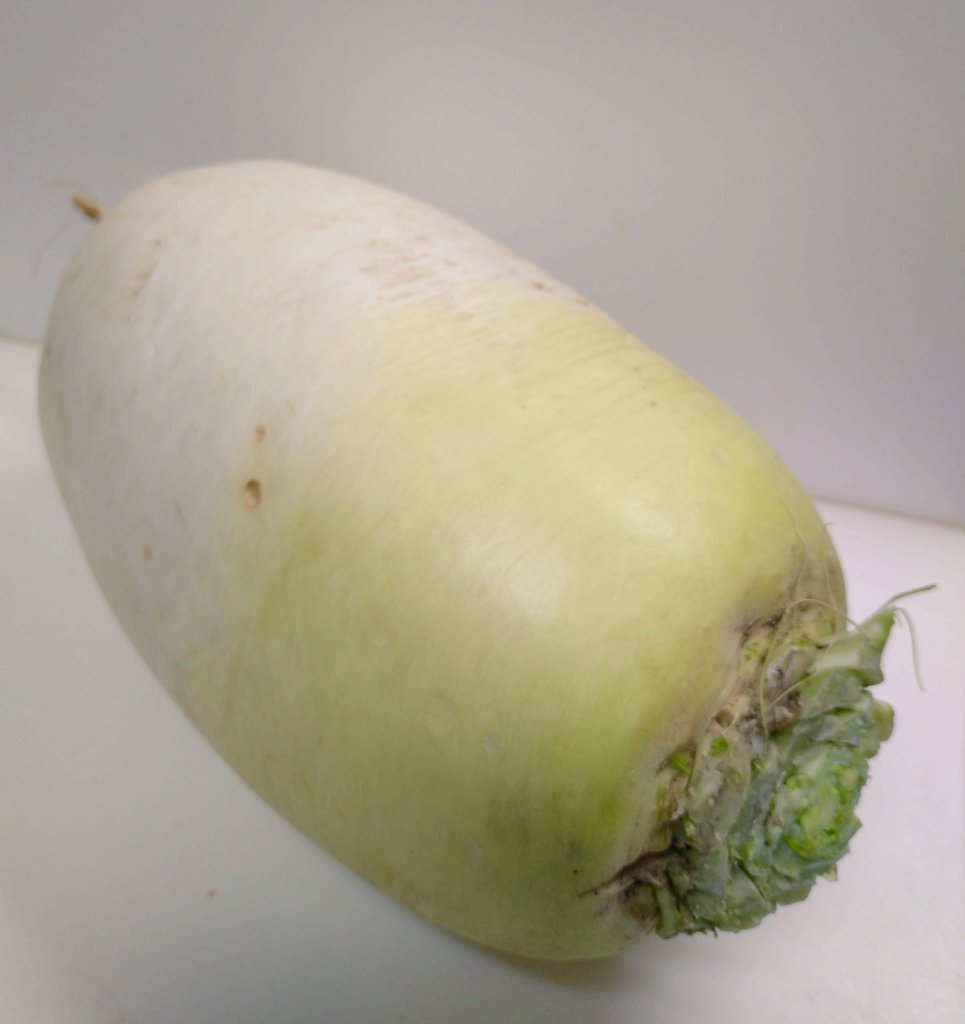 父が畑から持ち帰ってきた大根は見たことないボリューミーさ