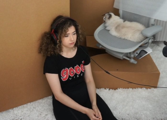 Poki Bruh ඞ tweet media