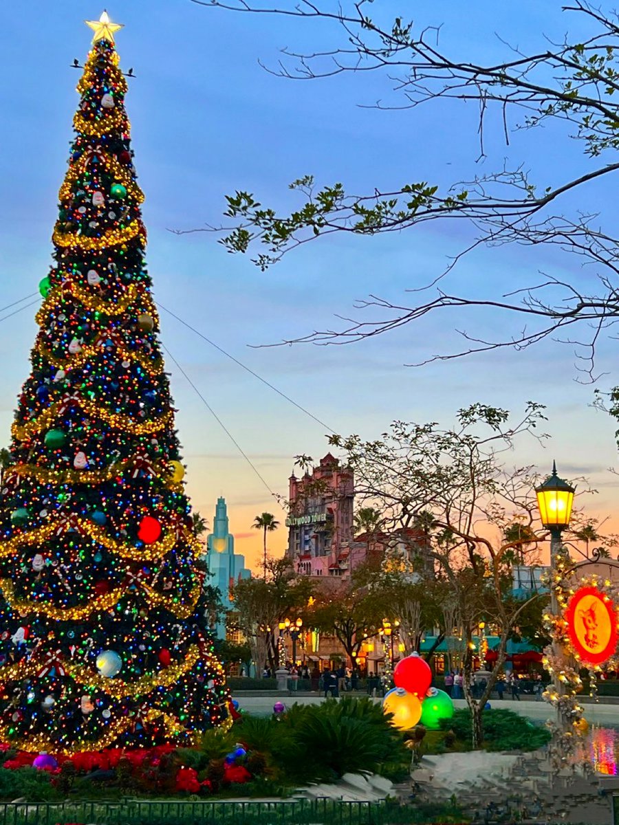 HippyDisneyGuy's tweet image. Echo Lake sunsets at Hollywood Studios! 🎄✨✨

#WaltDisneyWorld 💙