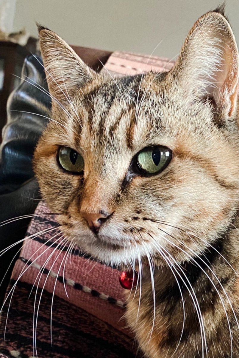 Yuko Sasaki tweet media