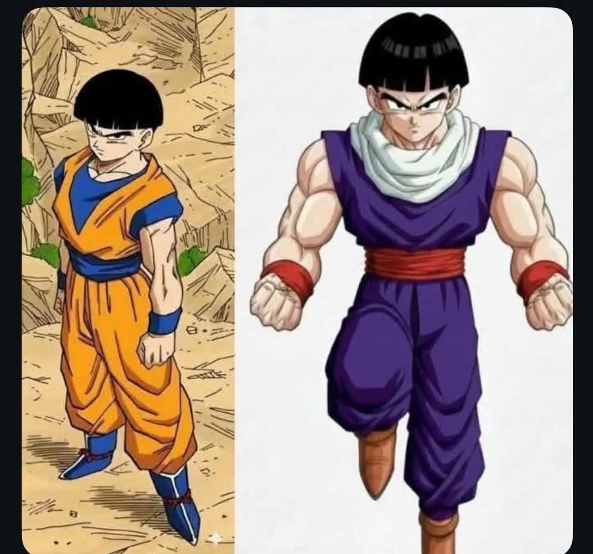 その他 Gohan 2025 Son Gohan PSA 10 Alternate Art - カルドバ