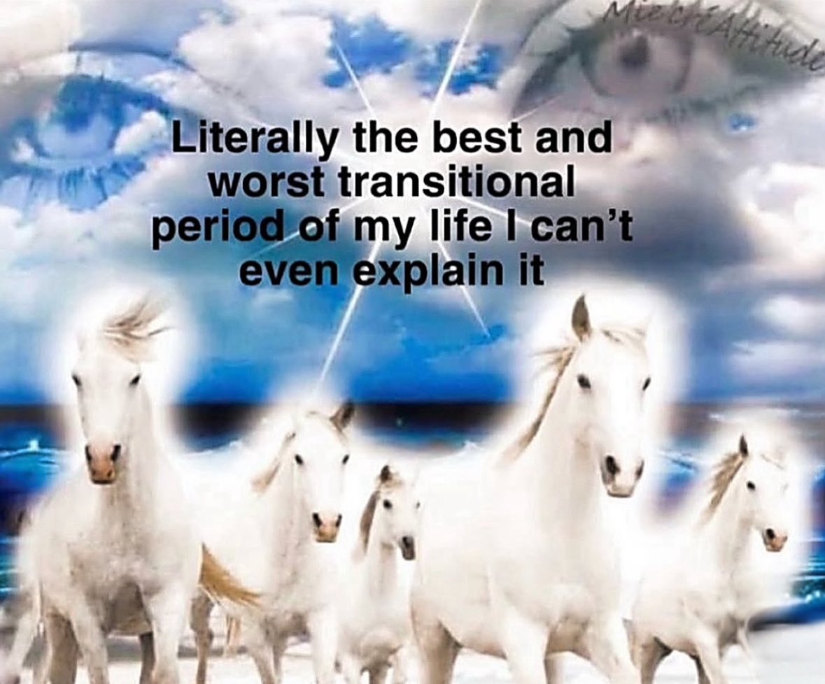 ✧ (@northstardoll) on Twitter photo 