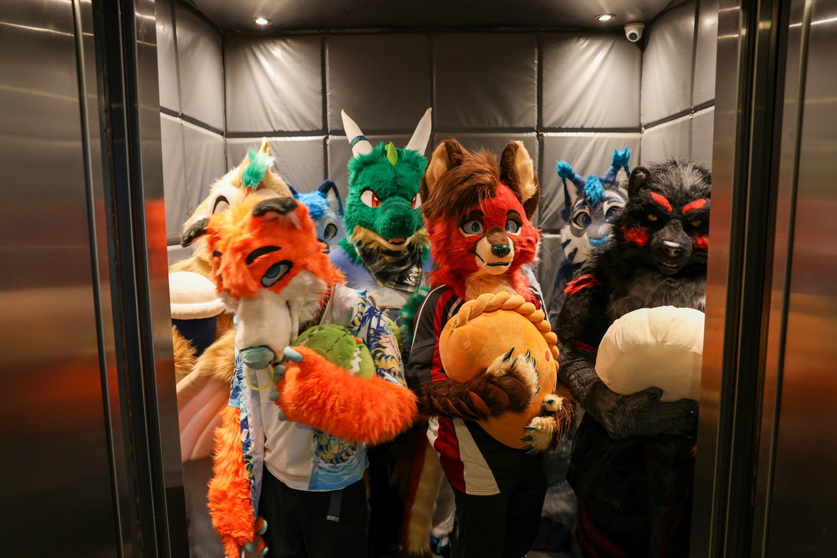 WulfricTaden's tweet photo. Furries in a lift is the equivalent to clowns in a clown car. 🤡
📷: @TideraceJenkins
#FursuitEveryday #Fursuit #Chingay #Chingay2025 https://t.co/g62NoIy1qz