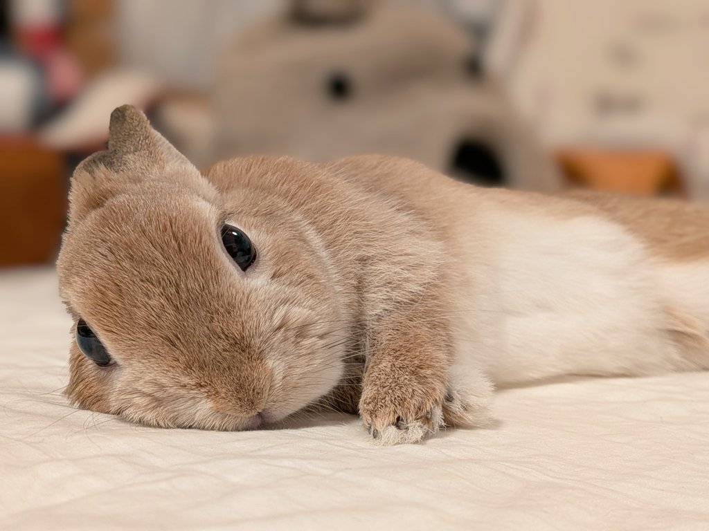 ままーごはんまだですかー