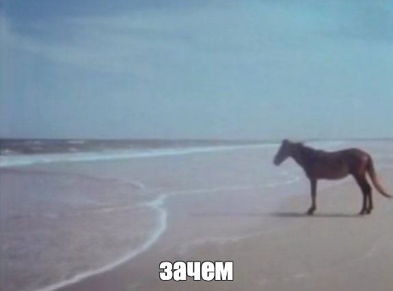 🦊рыжая тревога🦊 tweet media