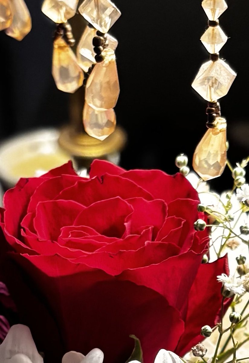anniean73967235's tweet photo. #PerfectRed🌹 https://t.co/2O4twVEFK1