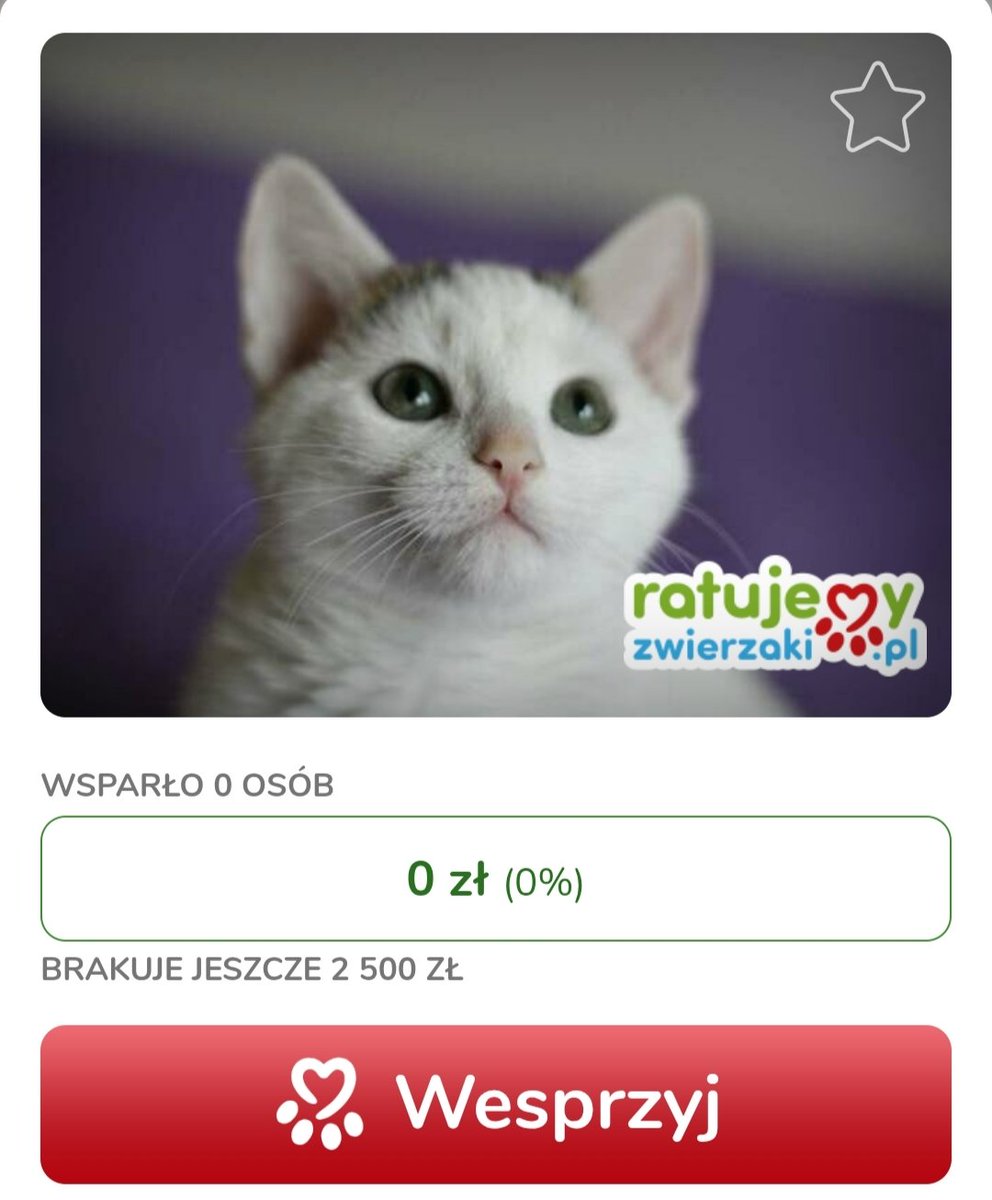 Znaleziony chory i przerażony, dziś tuli się do opiekunki i ufa człowiekowi. Ale jego walka o zdrowie trwa. 

Przed Tedim kolejny przeszczep, a zbiórka stoi na 0 zł. 

Nie pozwólmy, by walczył sam 🐾
ratujemyzwierzaki.pl/tedii