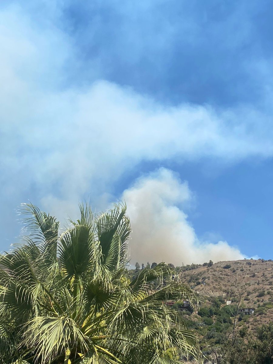 cbsantiago's tweet image. 🔴 AHORA: el Cuerpo de Bomberos de Santiago responde con voluntarios y máquinas de 14 Compañías ante 3ª Alarma de #Incendio forestal en San Carlos de Apoquindo y Camino las Flores, en la comuna de #LasCondes.
@Comandantecbs 
@Muni_LasCondes