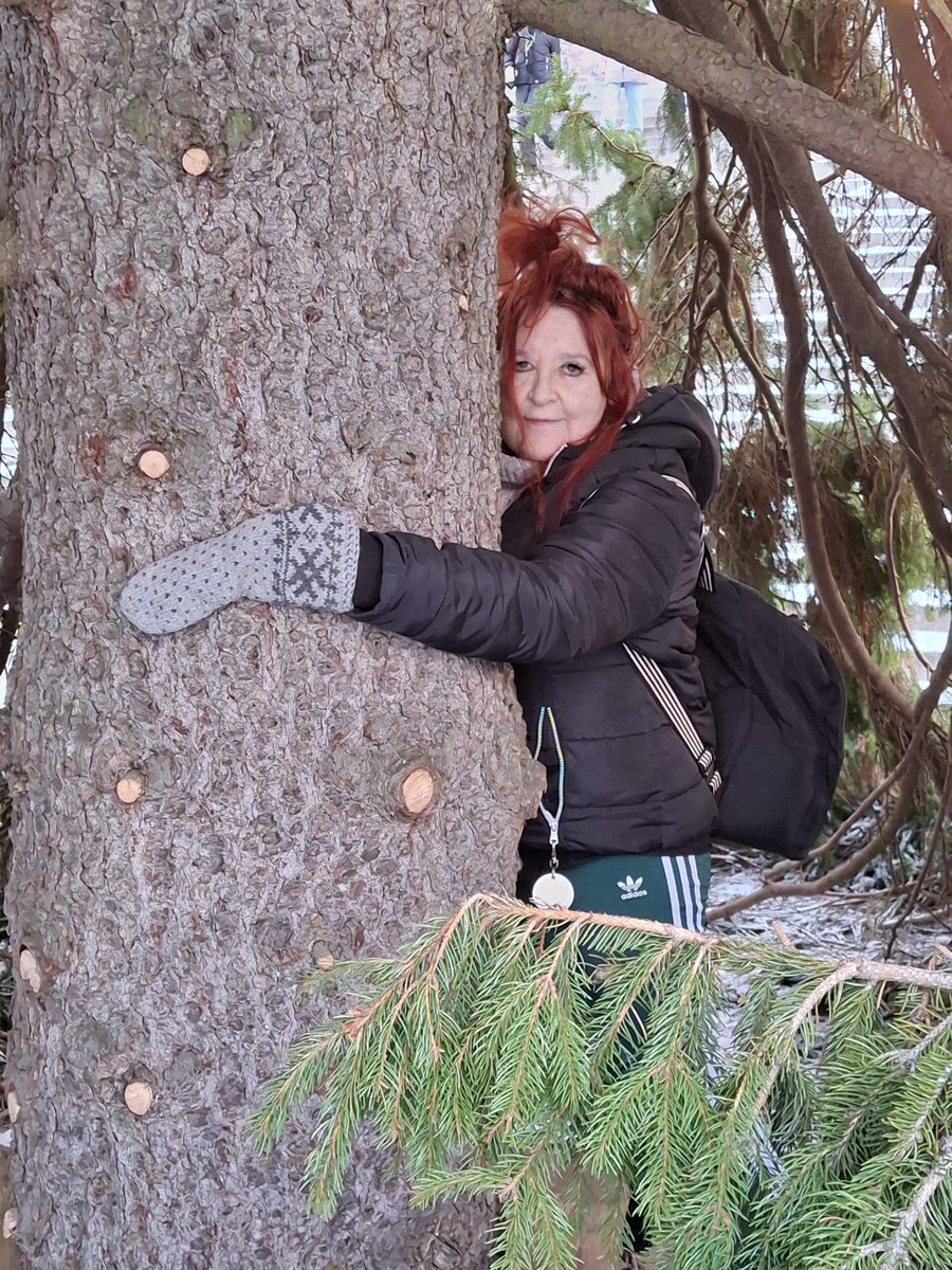 Paikkoja, jossa et ole aimmin käynyt: Turun tuomiokirkon kuusen sisällä