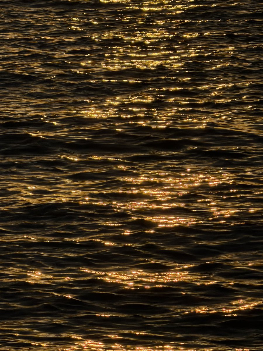 Jasaturrn's tweet image. 