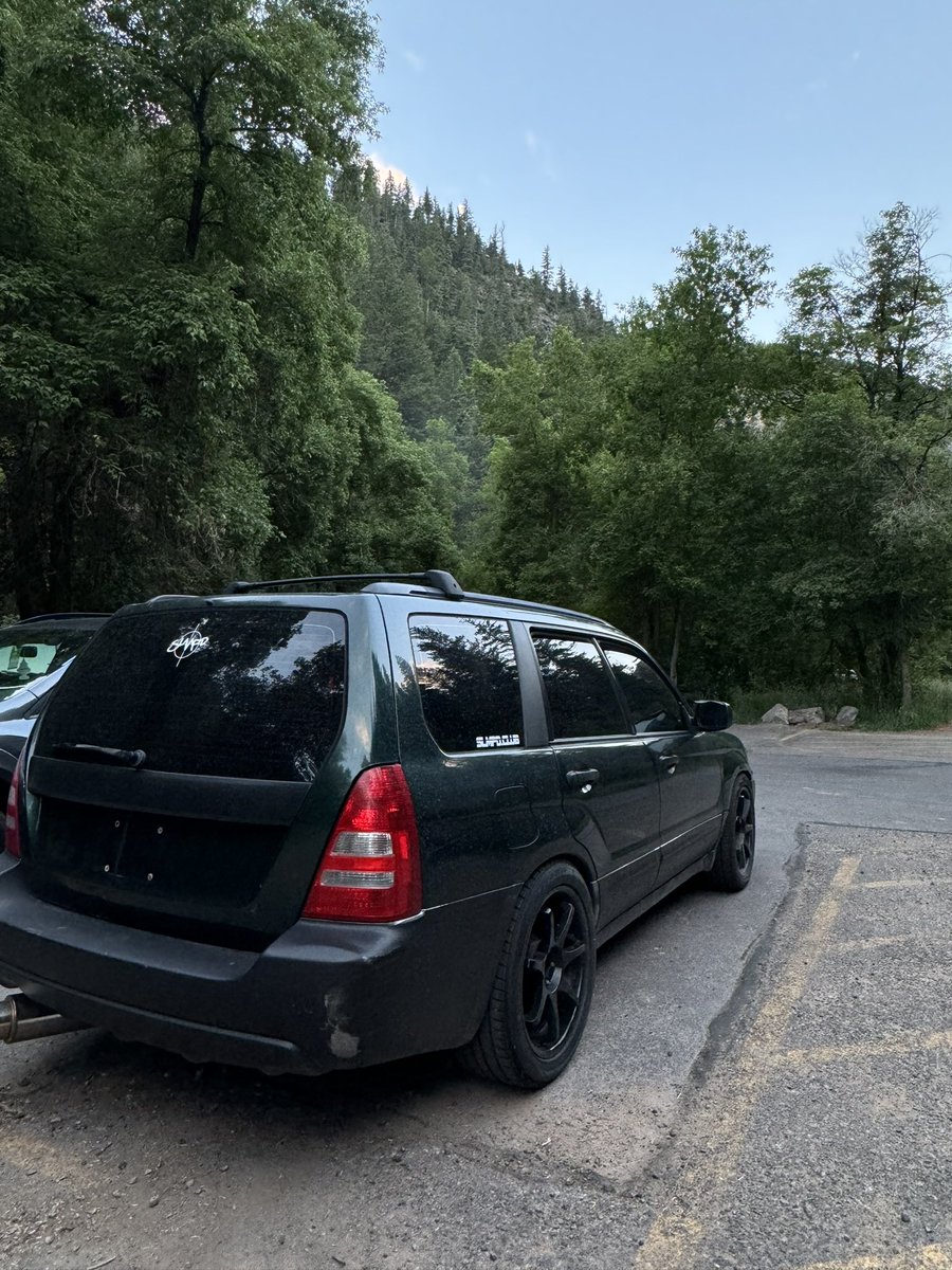Lesbaru forester >