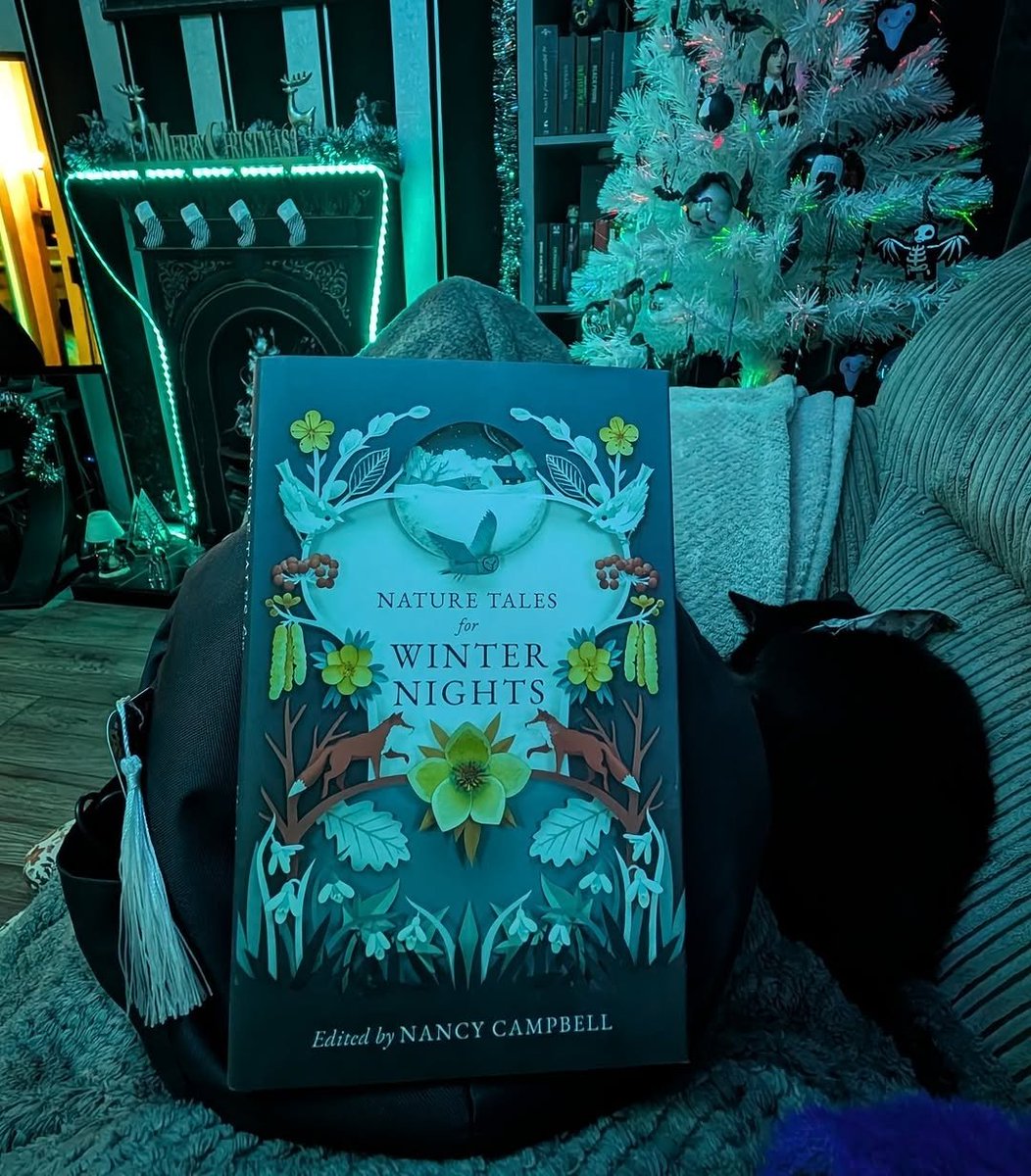 Batica Moomin 🦇 tweet media