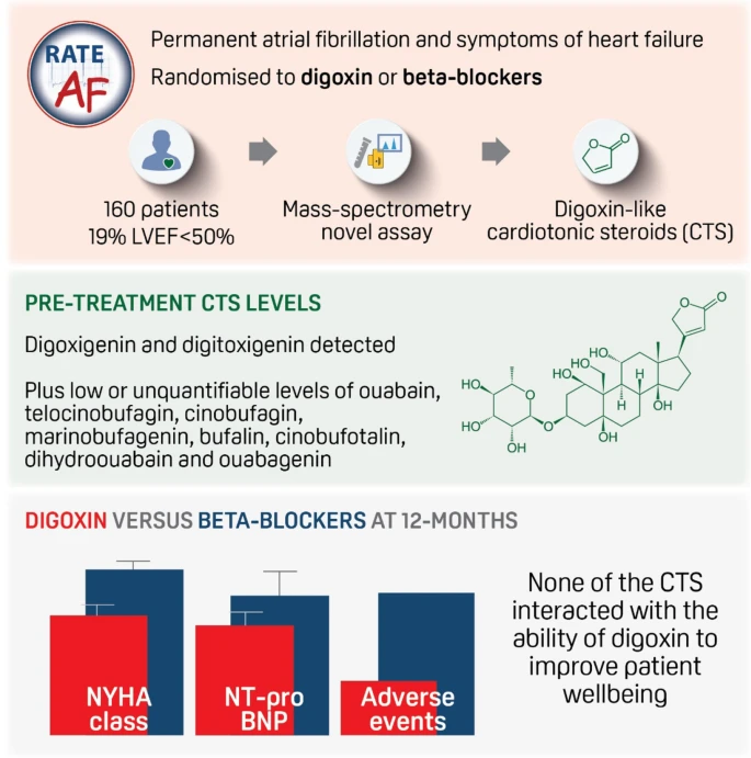 PavlovicDavor's tweet photo. 🧵Our new paper from the #RATEAF trial in @BMCMedicine
We examined circulating cardiotonic steroids in AF and HF patients, and the results challenge a concept that has dominated the field for >40 years.
https://t.co/rRtg3HFxZ6 https://t.co/OfdtvgIhcO