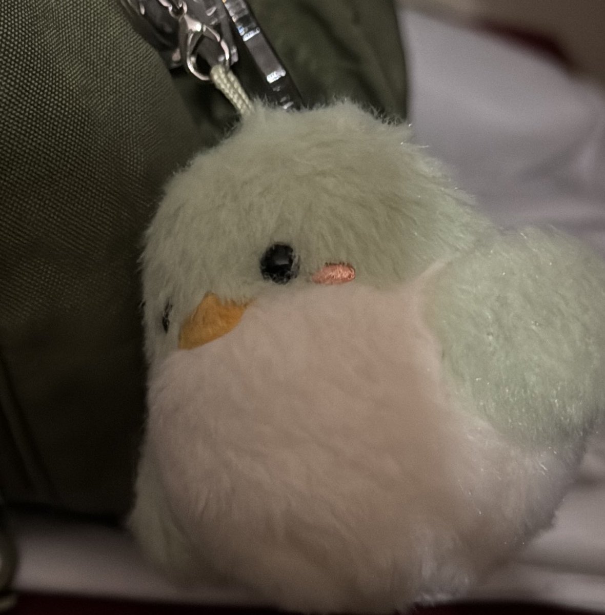 igot7ly's tweet image. kucuk kusumu cok seviyom 💚