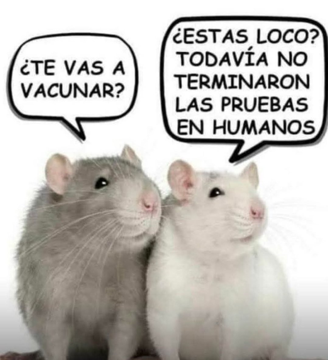 JuanMuncc's tweet image. 😂😂😂😂😂😂