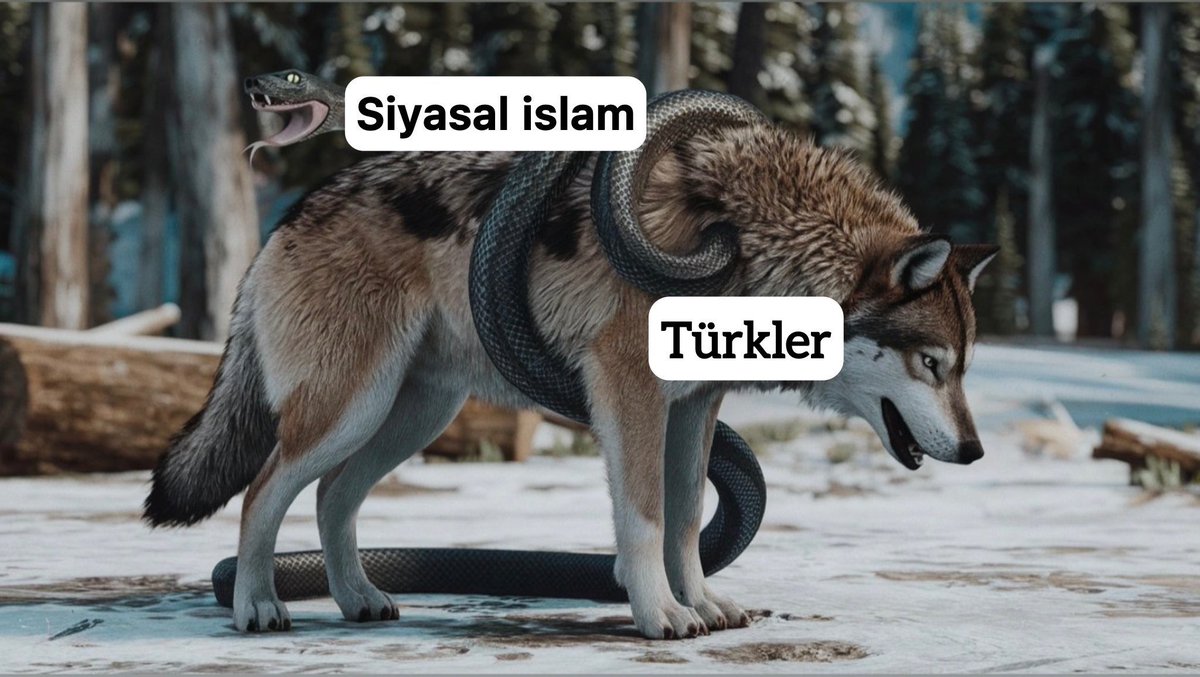 Ə Hərfi geri döndü (@ters_eharfi) on Twitter photo 