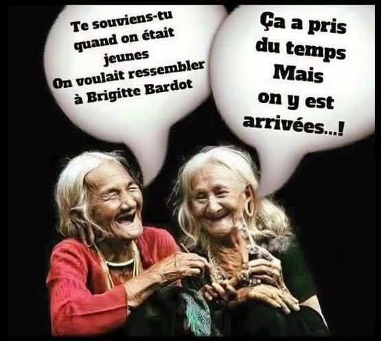 BenArakTrip's tweet image. Un sacré bail que cette blague circule. Elles vont enfin pouvoir lui demander un autographe. 
#BrigitteBardot #humournoir #dérision #SecondDegré