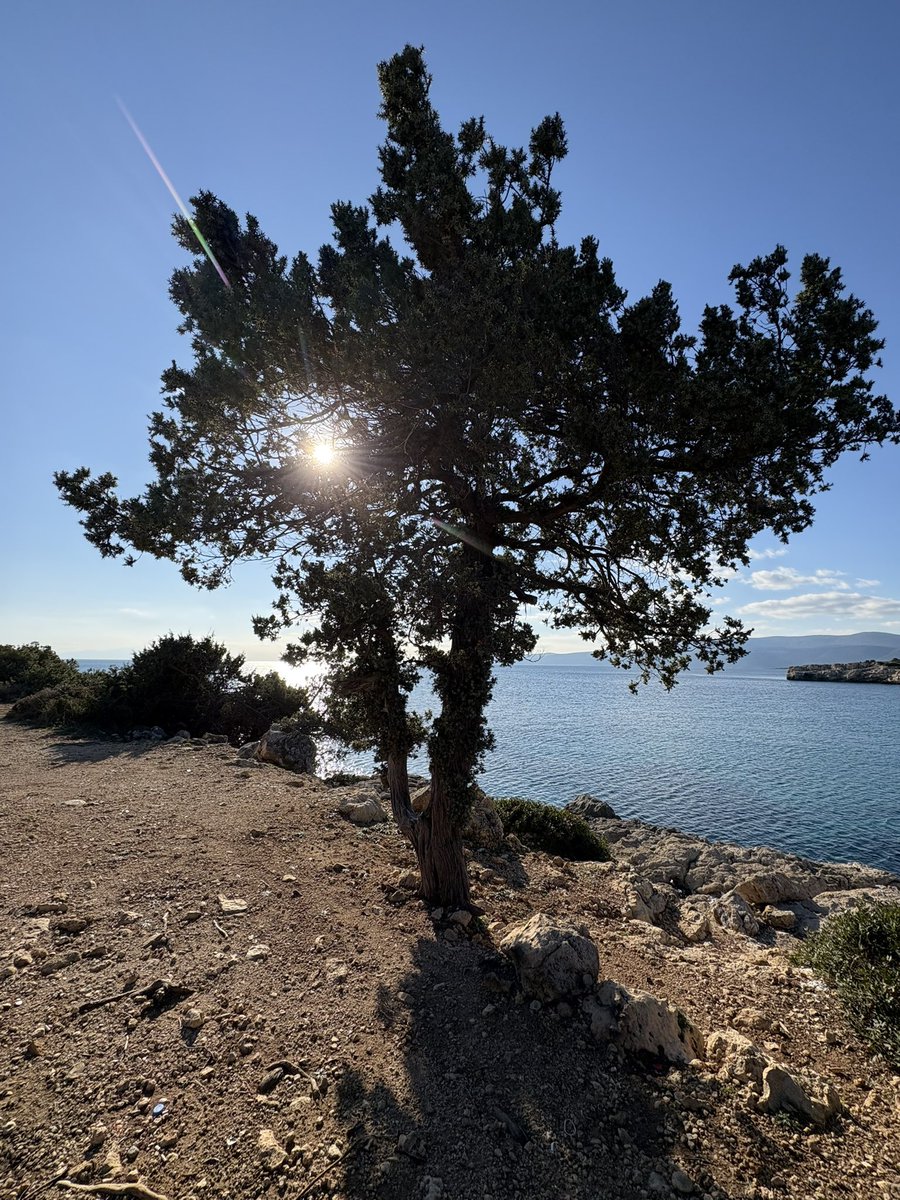 aysinkonak's tweet photo. Soğuk bir kış gününden #Urla https://t.co/tOTIfQshHZ