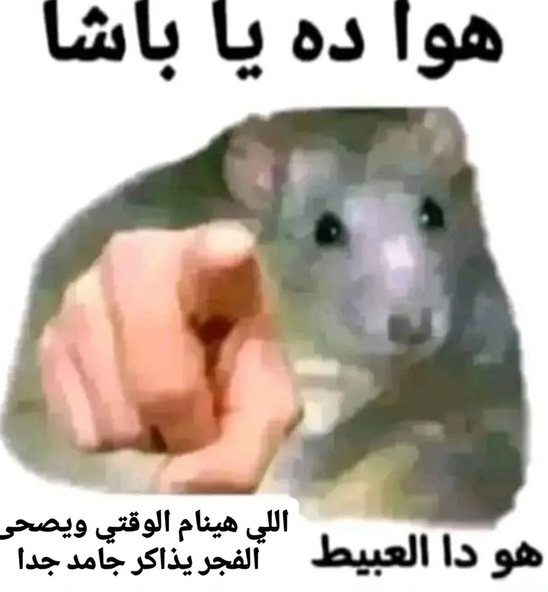 QueenSisi42's tweet photo. https://t.co/WFNyWJZVne