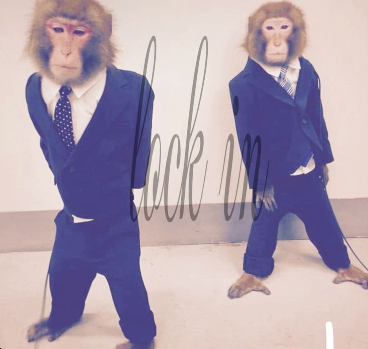 Petto 🇦🇷 tweet media