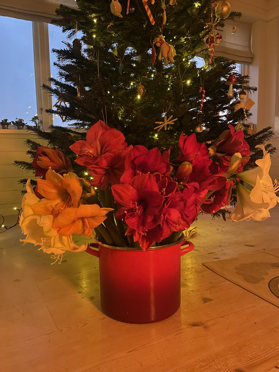 наверно самый красивый мой рождественский букет