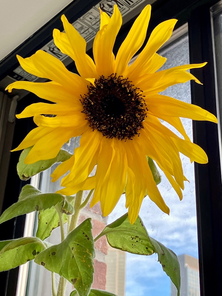 Same as it ever was: words and sales. See below. Buy something delicious. Happy New Year! - #Bourbon #whiskey #Brooklyn - mailchi.mp/freerangebrook…