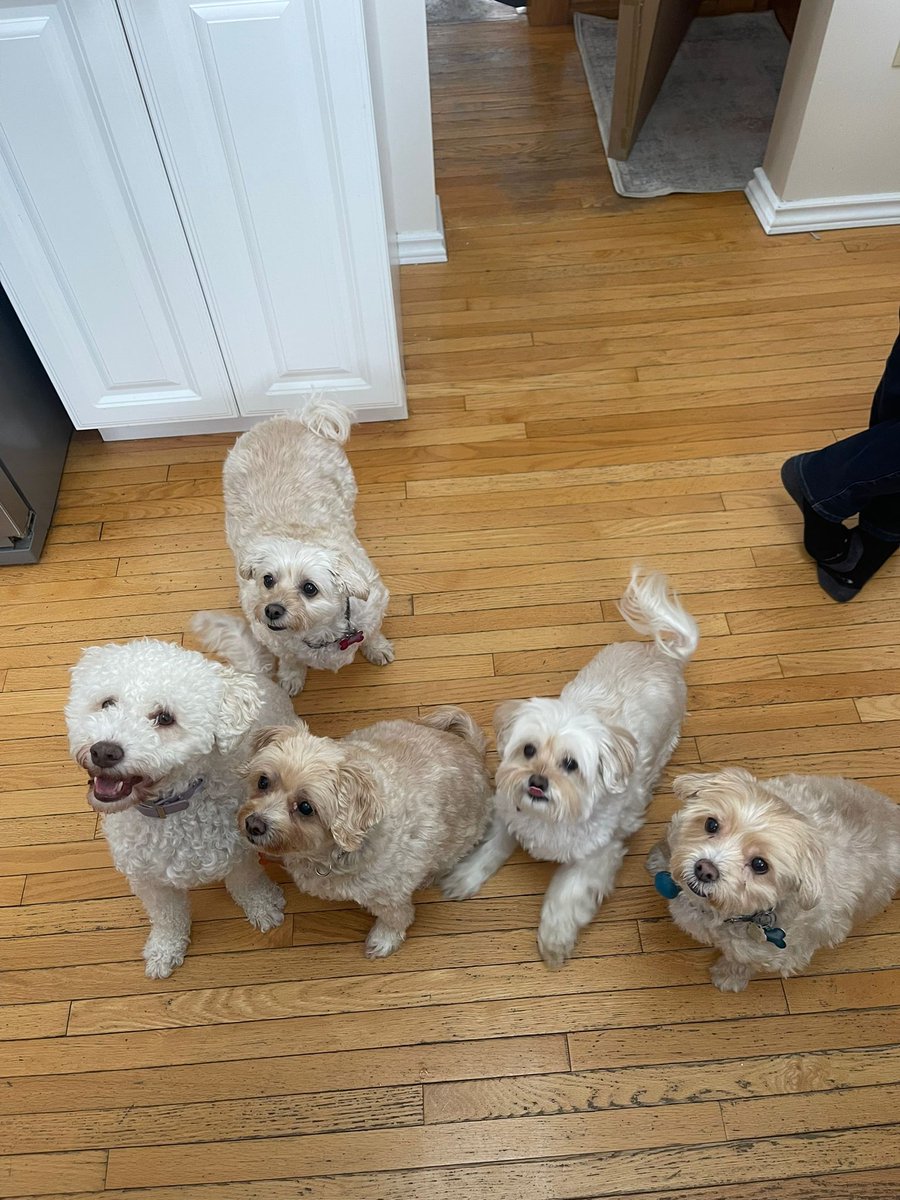 Mark Cruden tweet media